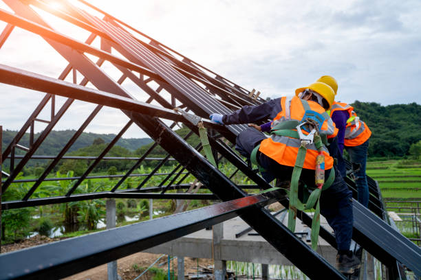 Best Roof Repair Services  in Brighton, IL