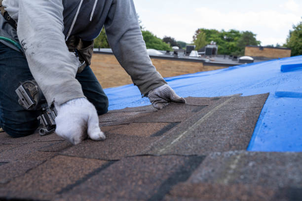 Best Local Roofing Companies  in Brighton, IL